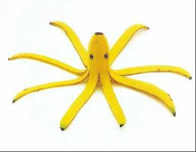 banana%20spider.jpg