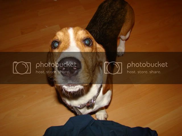 DSC05787.jpg