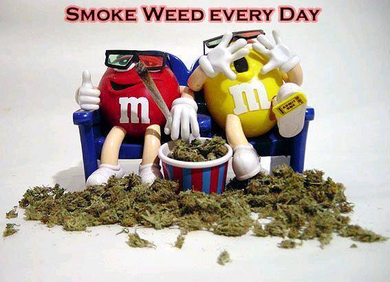 SmokeWeed.jpg