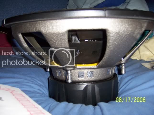 Picture008.jpg