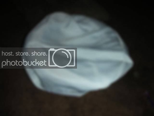 DSCN3484.jpg
