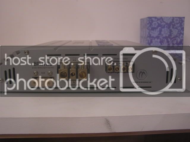 P1010036.jpg