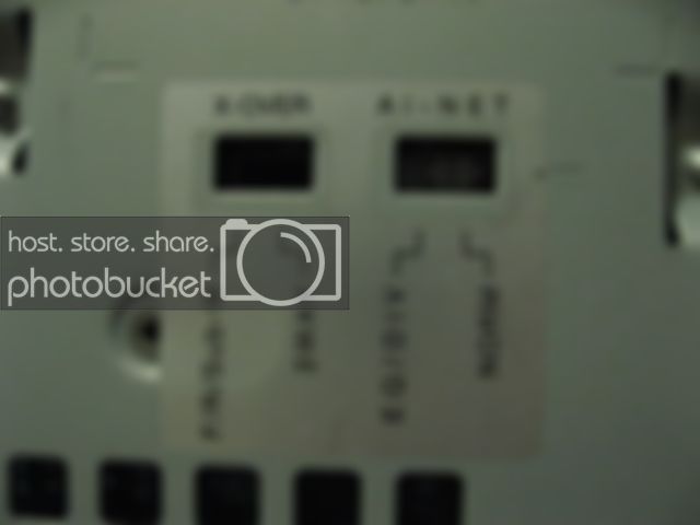 9887008.jpg