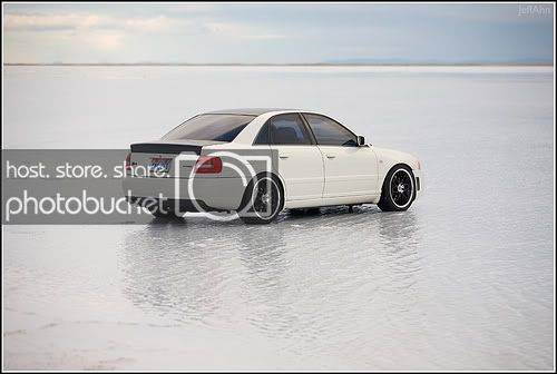 salty.jpg