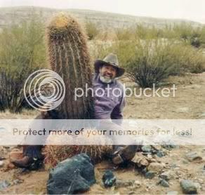 cactus.jpg