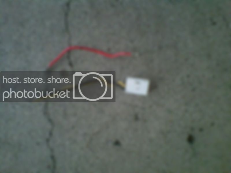 IMG00434-20121125-1009.jpg