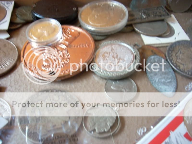 DSCN1363.jpg