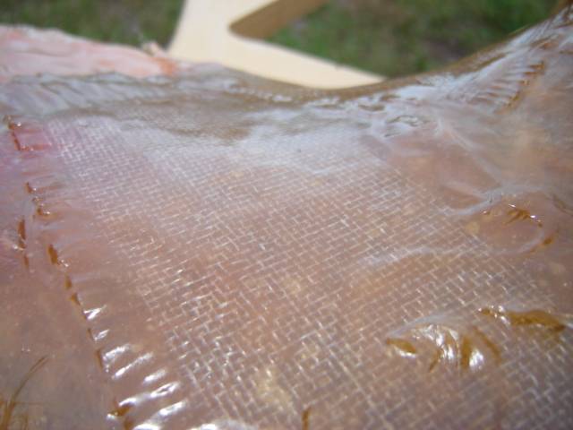 DSC02903.JPG