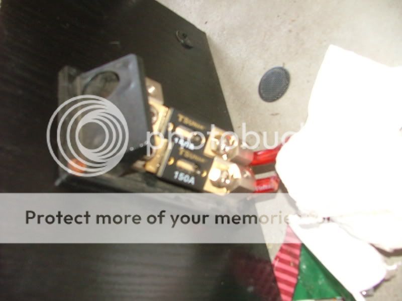 DSCF3370.jpg