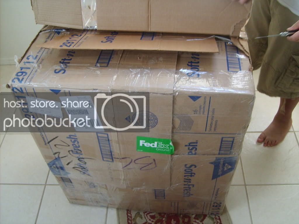 SD532890.jpg