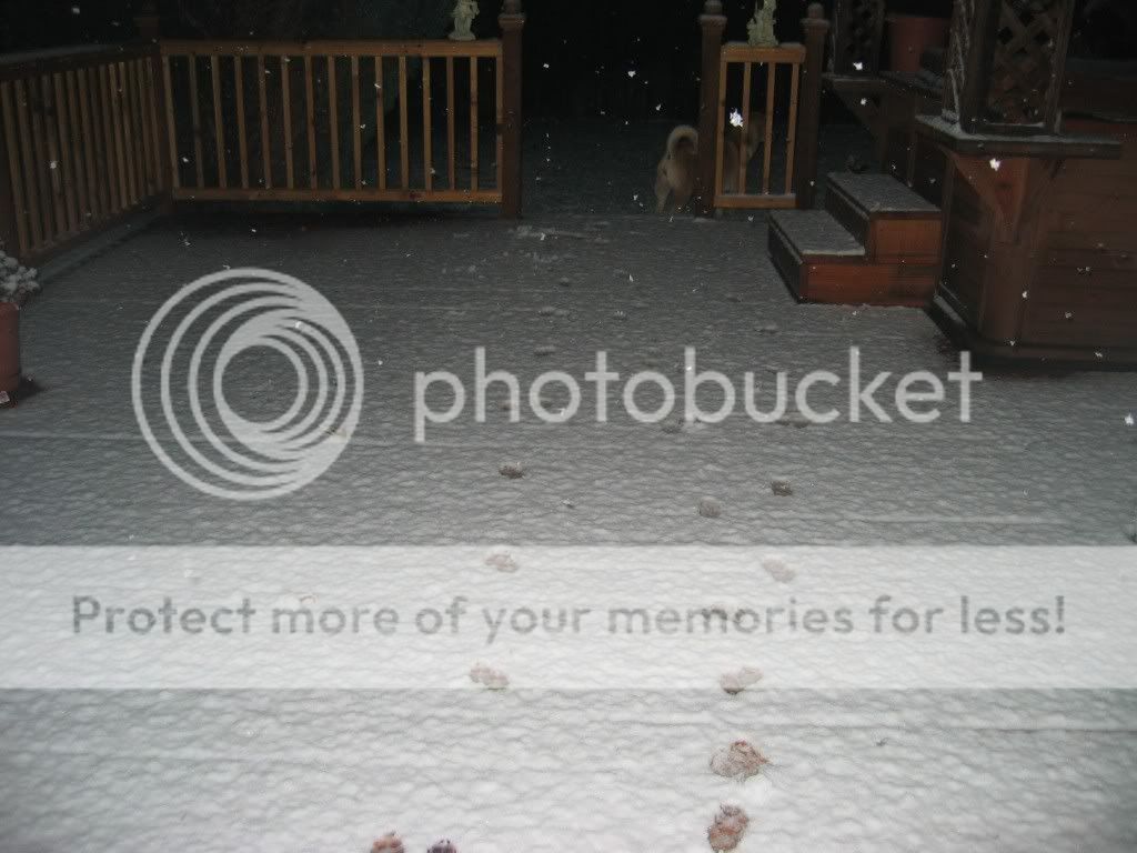 snow_001.jpg