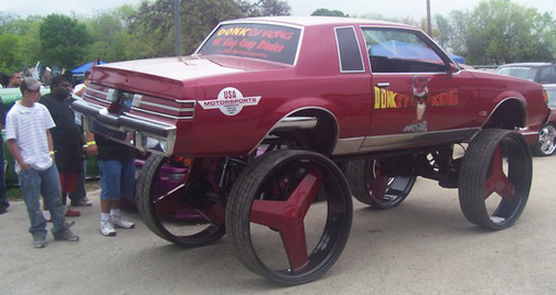 WildCar.jpg