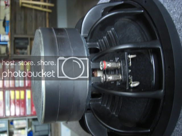 CIMG0491.jpg