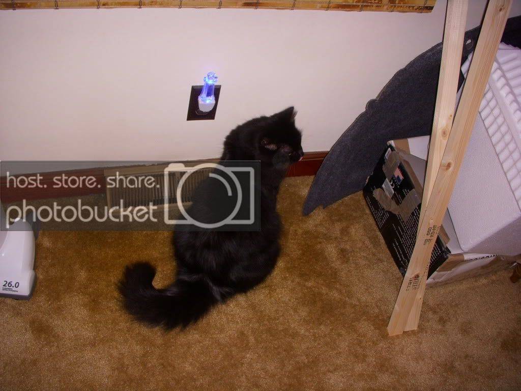 DSCN1649.jpg