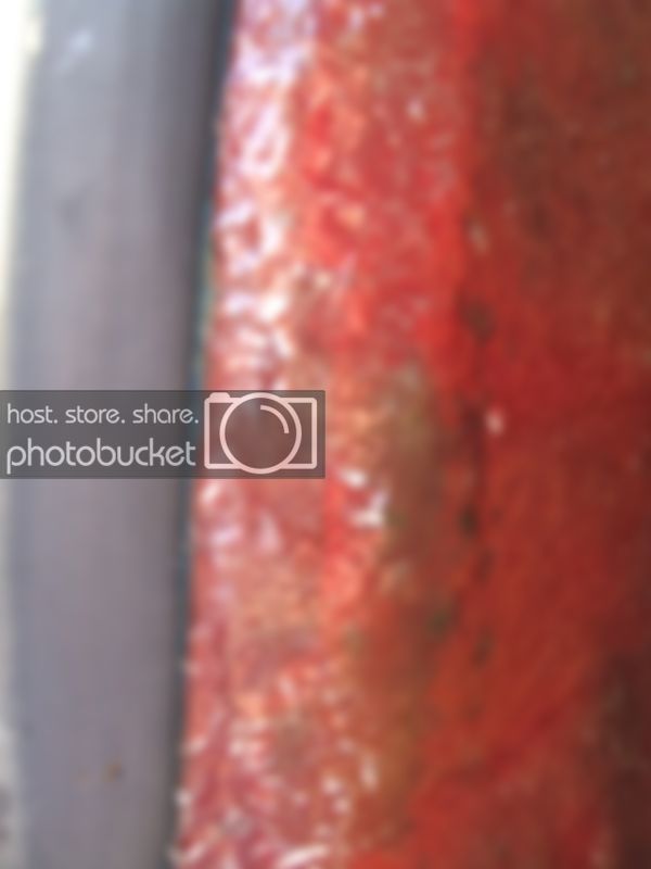 DSCF3090.jpg