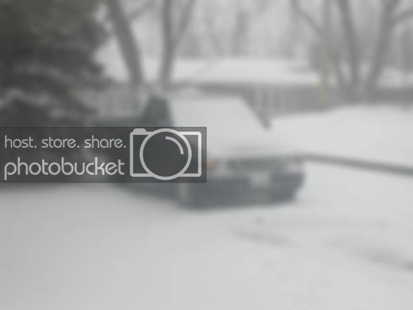 snow4.jpg