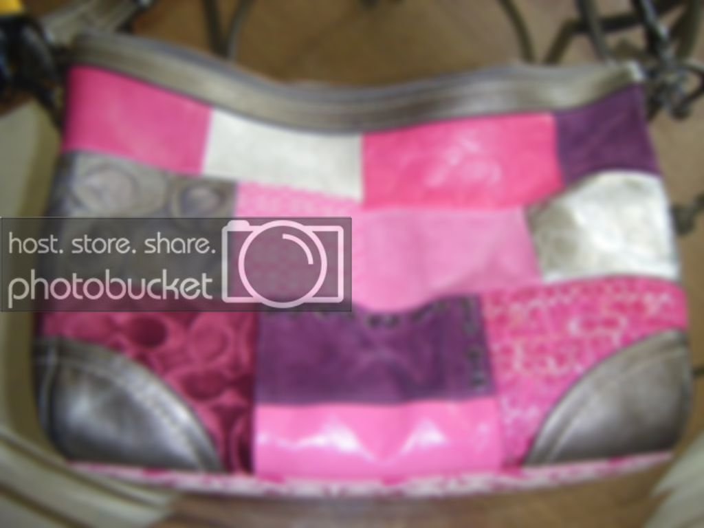coachpurse001.jpg