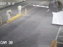 cycle_crash.gif