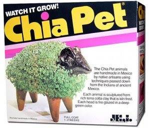 Chia+pet+II.jpg