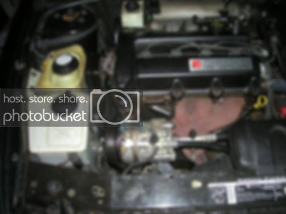 DSCN0428.jpg