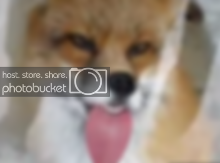 6a00d8341bf67c53ef016302d40efe970d-800wi.png