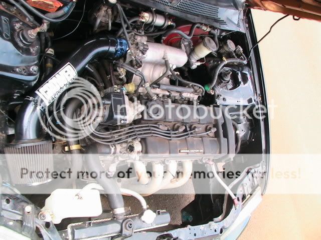 Picture002.jpg