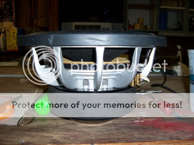 124_5644.jpg