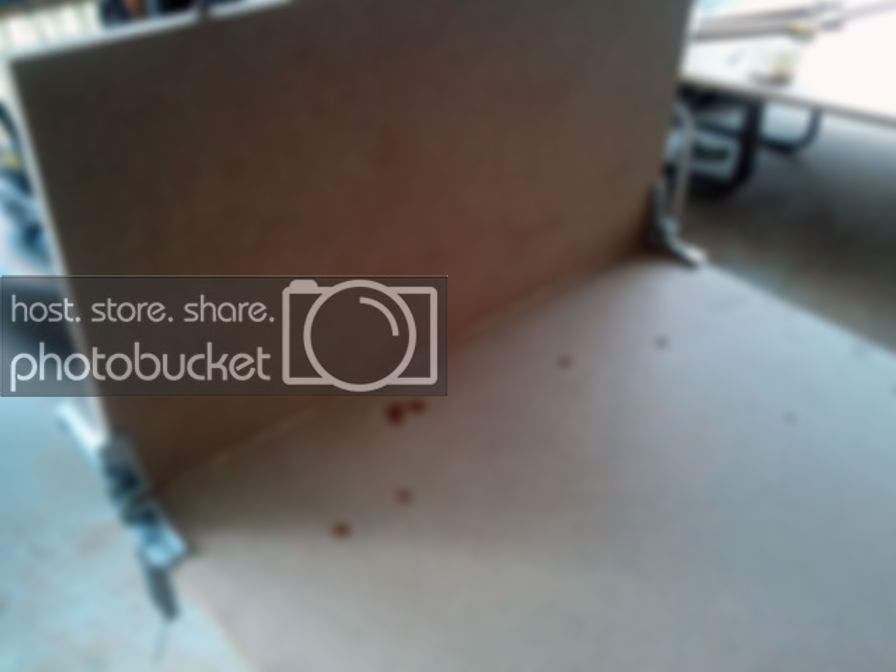 2011-08-14120735.jpg