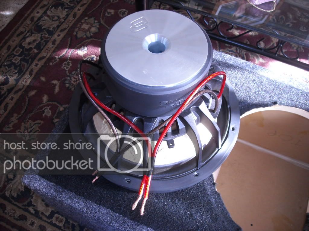 DSCN0895.jpg