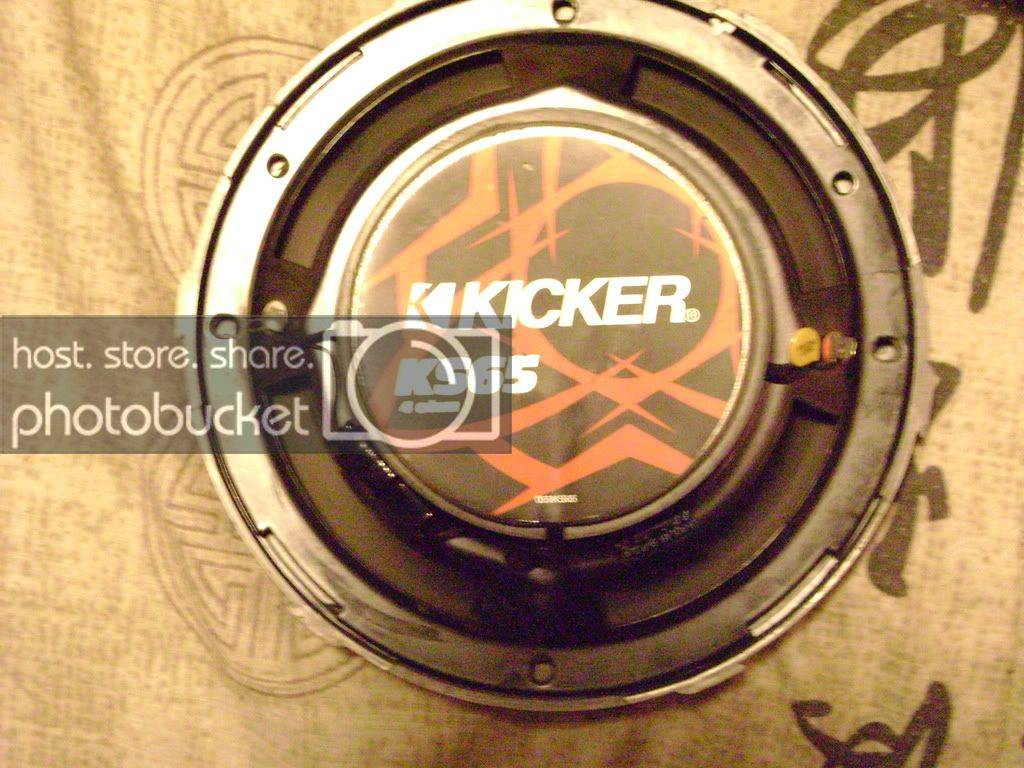 DSC01004.jpg