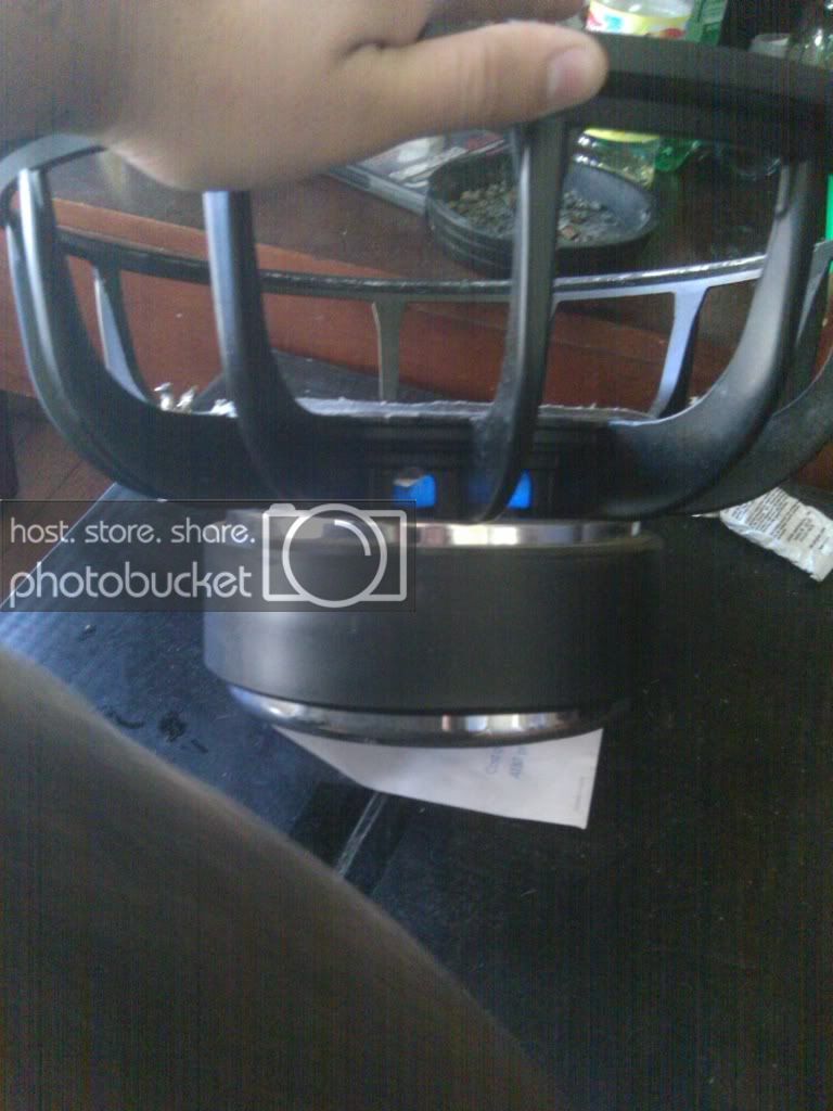 IMAG0256.jpg