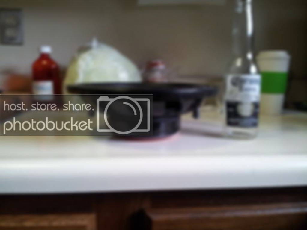 20130801_094225_zps9d00ddd0.jpg