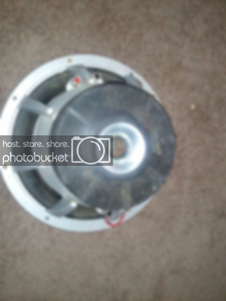 WP_000110.jpg