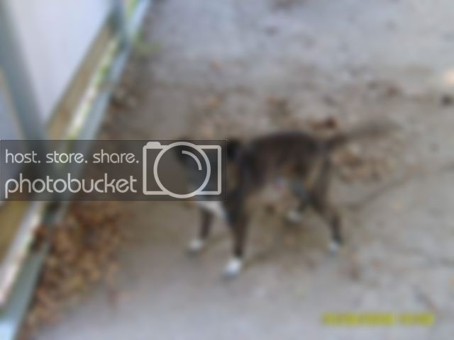 008.jpg