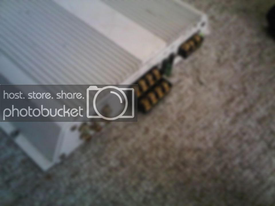 IMG00179-20110407-1118.jpg