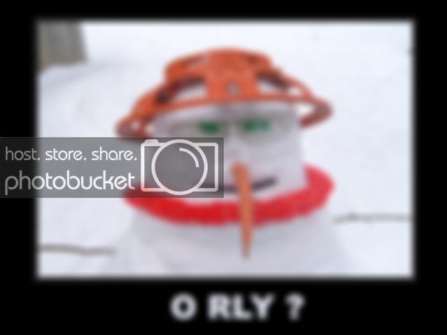 orlysnow.jpg