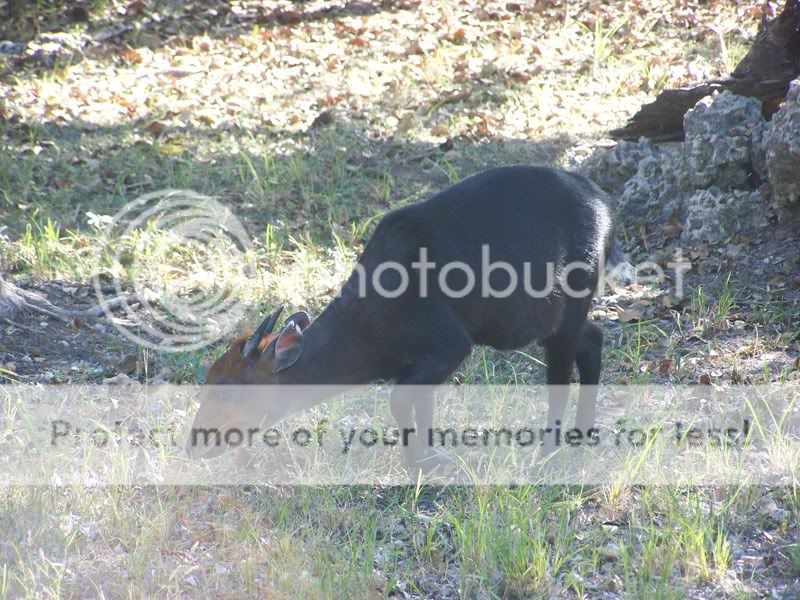 zoo020.jpg