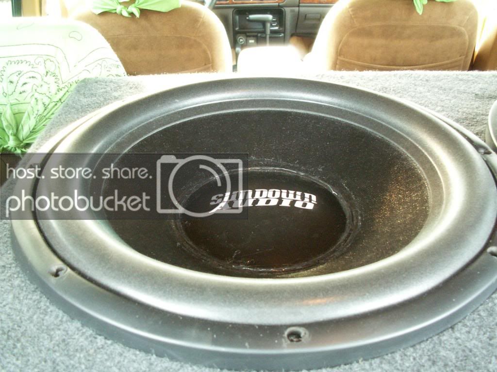 PICT0282.jpg