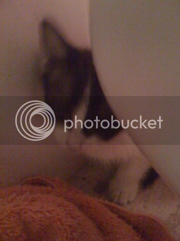 Picture091.jpg