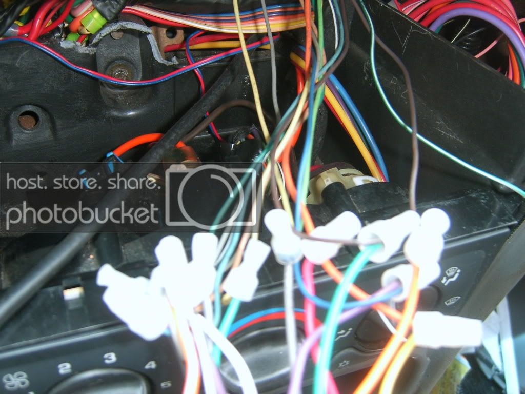 SA501391.jpg