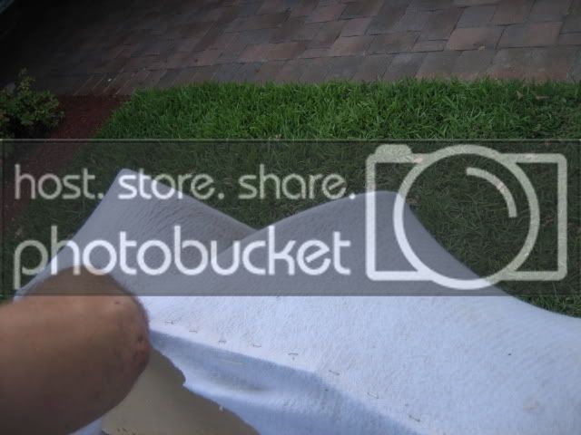 IMG_4817.jpg