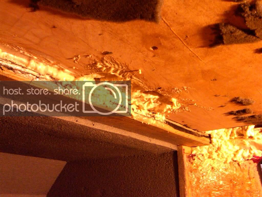 IMG00017-20100211-1837.jpg