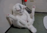 animated-graphics185.gif
