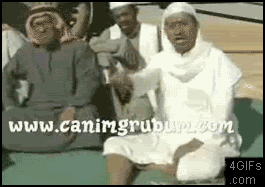 Arab_snake_surprise.gif