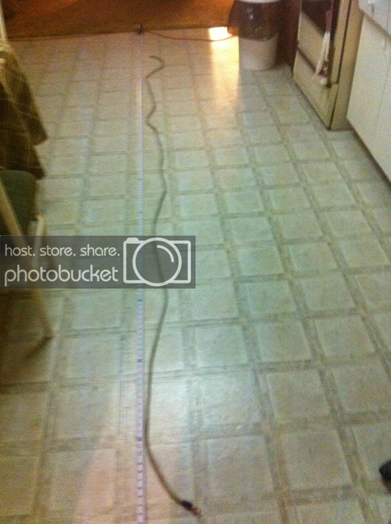 IMG_0720_zps3b60a55b.jpg