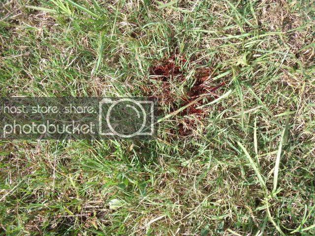 DSCF0593.jpg