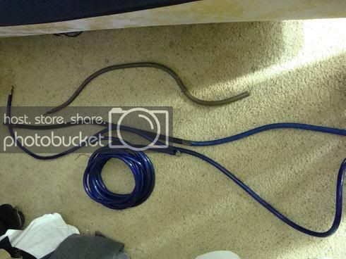 DSC05468.jpg