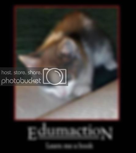 edumacation.jpg