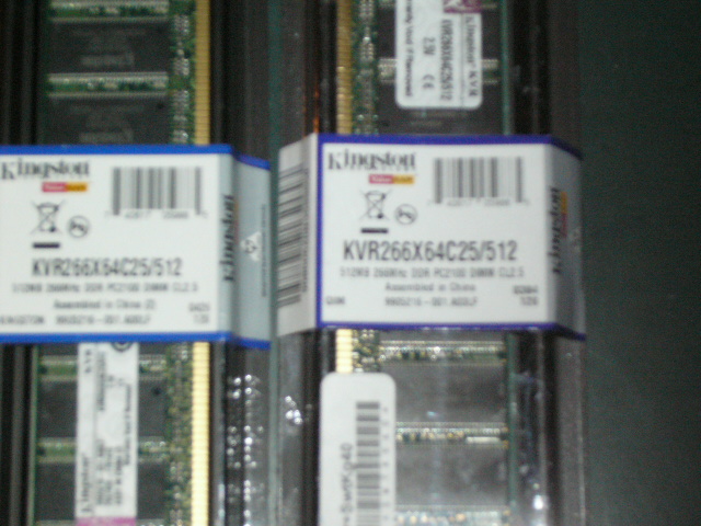 P1020541.JPG