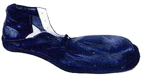 bigshoe.jpg